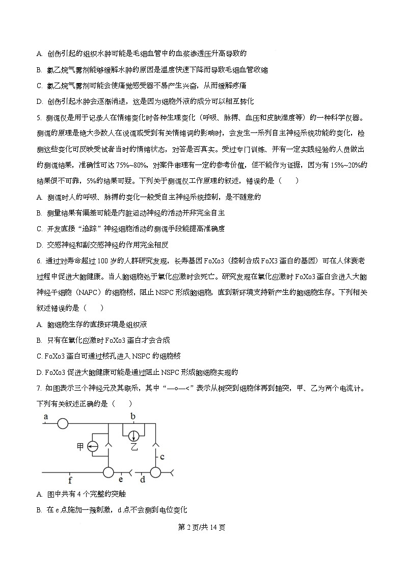 安徽省合肥市普通高中六校联盟2025-2026学年高二上学期期中考试生物试题（原卷版）第2页