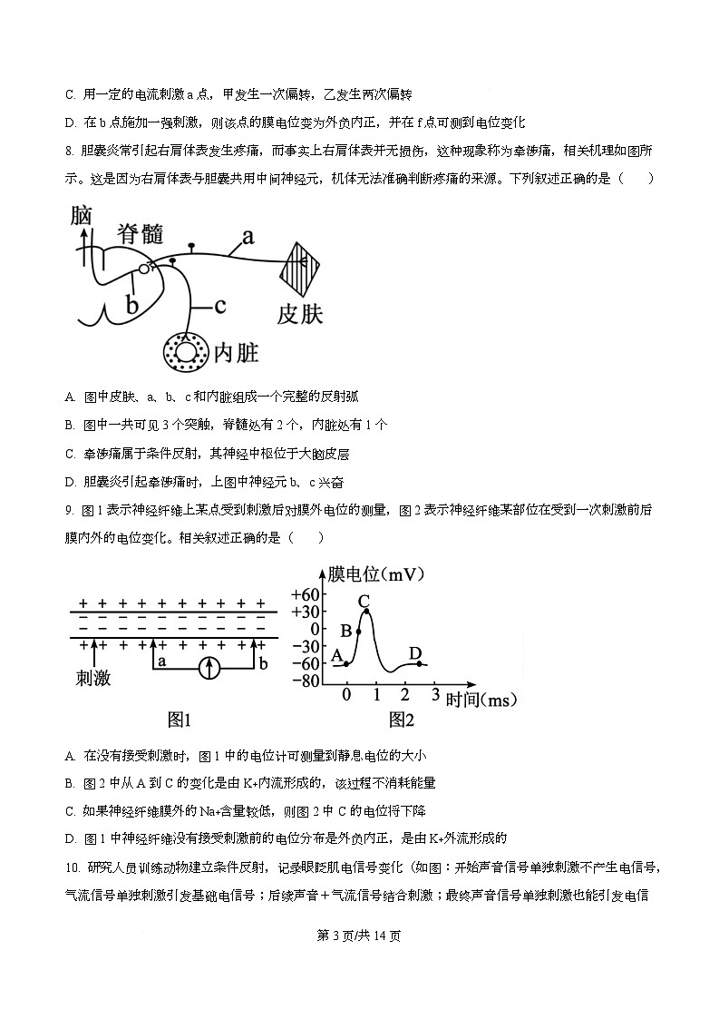 安徽省合肥市普通高中六校联盟2025-2026学年高二上学期期中考试生物试题（原卷版）第3页