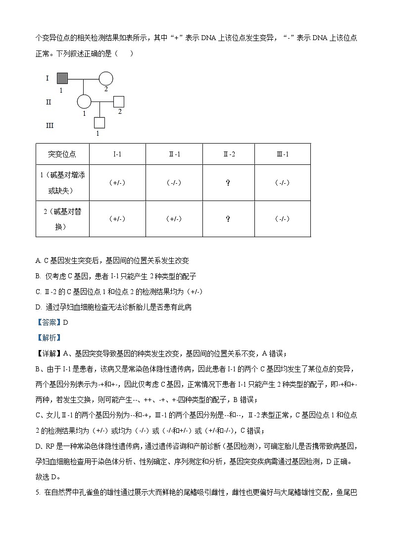 安徽省A10联盟2025-2026学年高二上学期11月期中生物试题 Word版含解析第3页