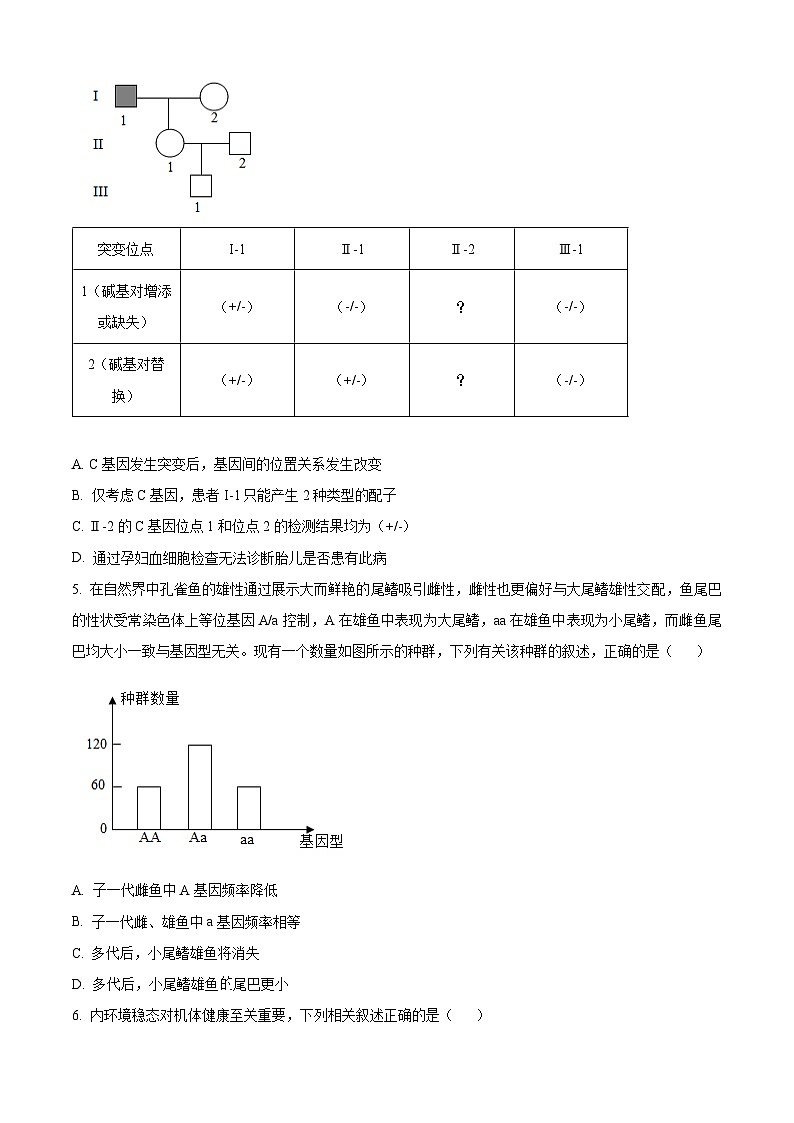 安徽省A10联盟2025-2026学年高二上学期11月期中生物试题（原卷版）第2页
