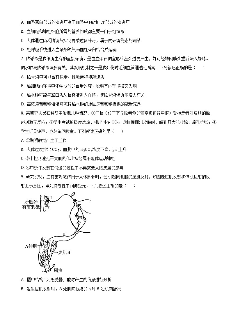 安徽省A10联盟2025-2026学年高二上学期11月期中生物试题（原卷版）第3页