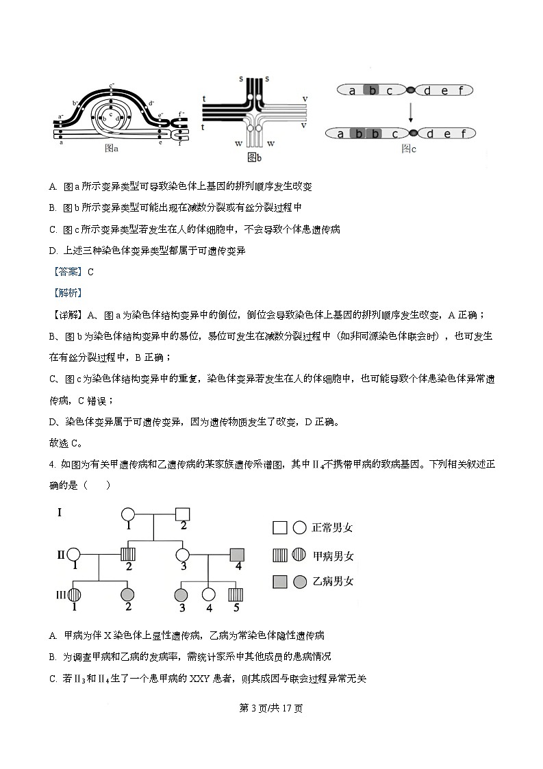 安徽省鼎尖名校大联考2025-2026学年高二上学期11月期中考试生物B试题 Word版含解析第3页
