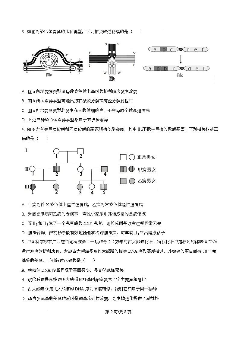 安徽省鼎尖名校大联考2025-2026学年高二上学期11月期中考试生物B试题（原卷版）第2页