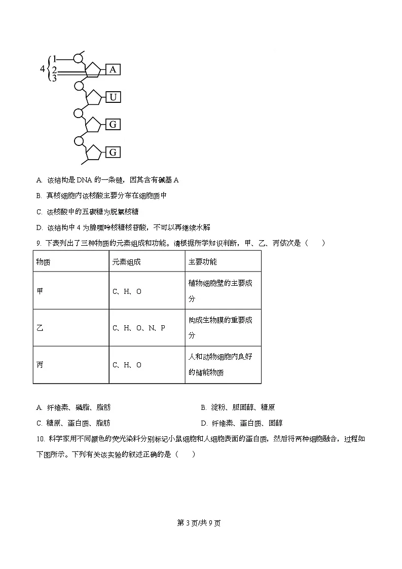 安徽省A10联盟2025—2026学年高一上学期11月联考生物试题（原卷版）第3页