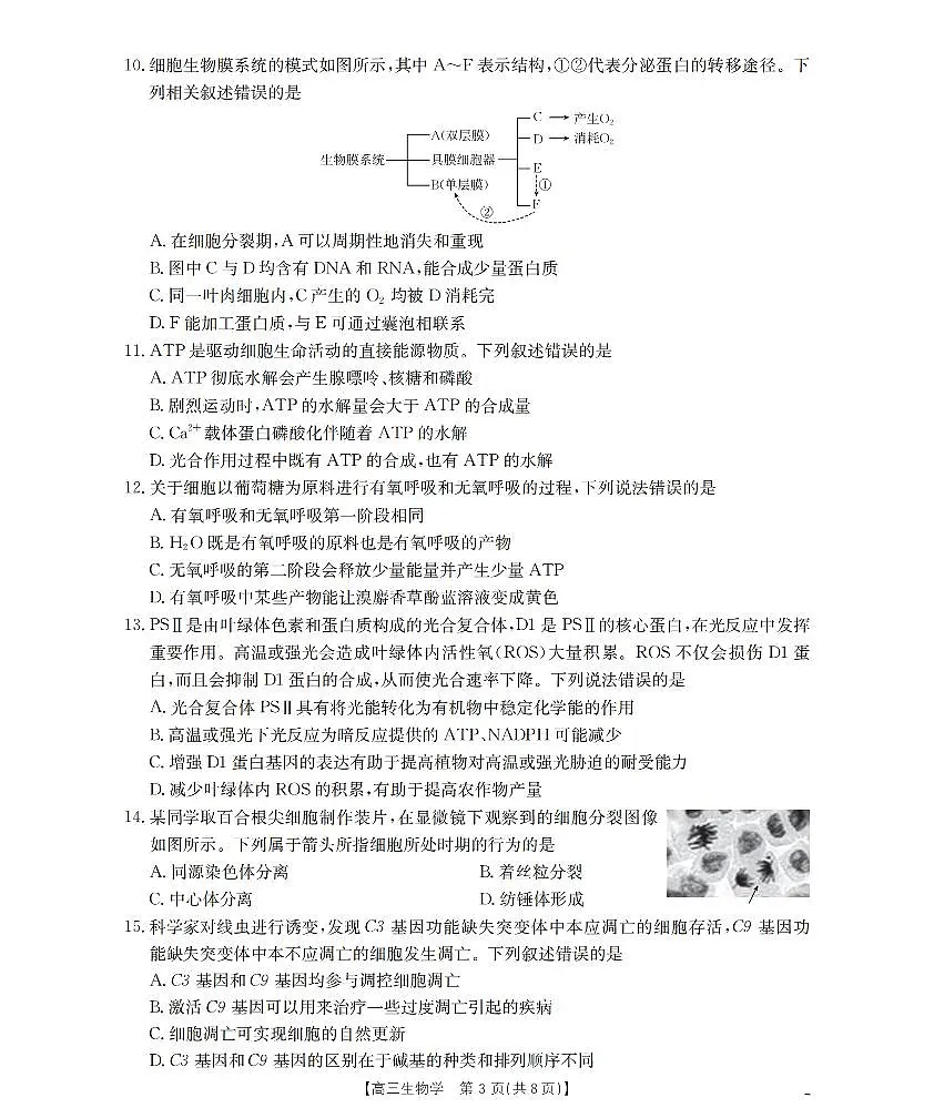 金太阳内蒙古2026届高三名校9月教学质量检测试卷（26-32C）生物试卷第3页