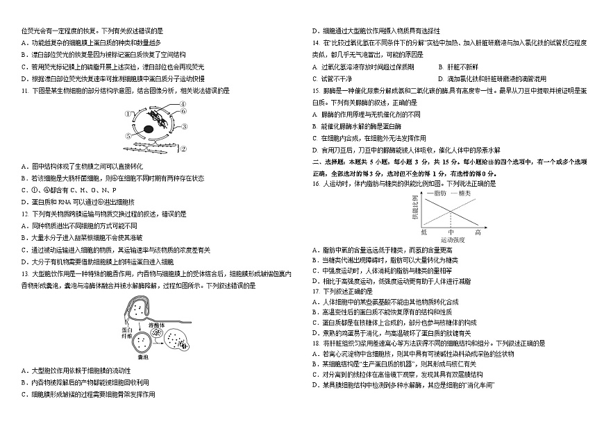 铁人中学2025级高一上学期期中考试生物试卷11.15第2页