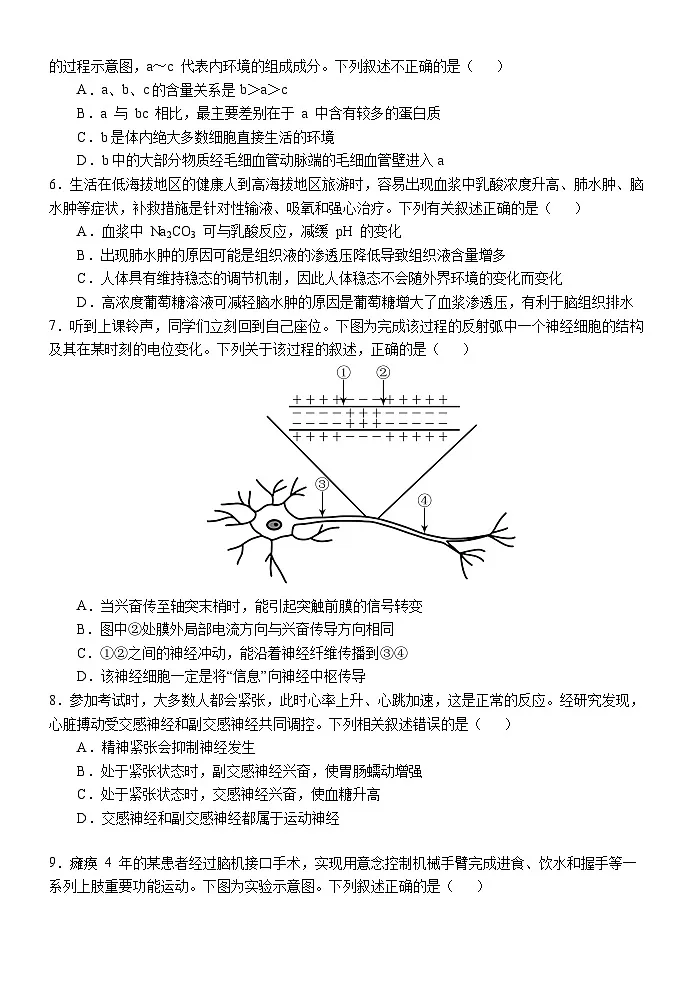 大庆铁人中学2024级高二年级上学期期中考试生物试卷第2页