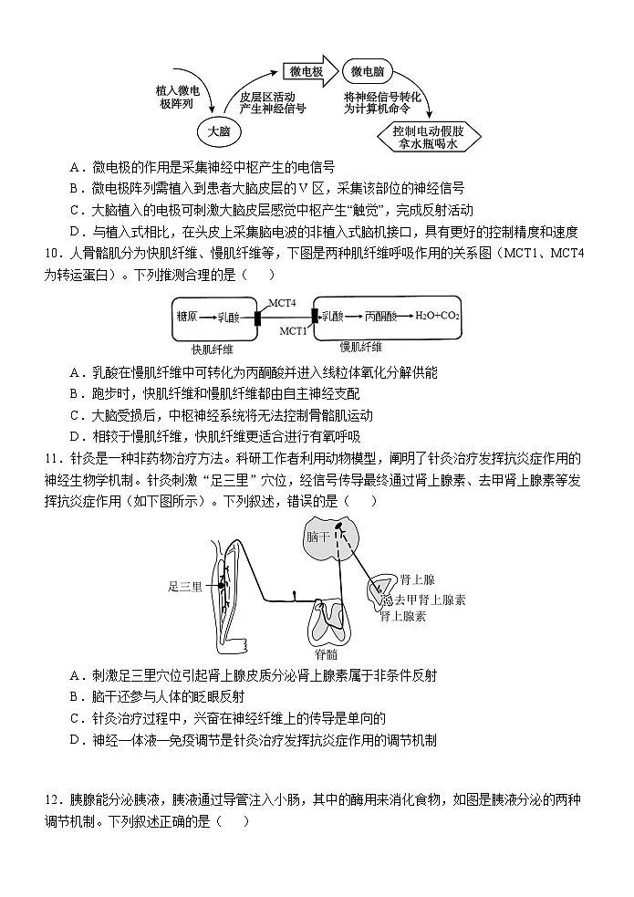 大庆铁人中学2024级高二年级上学期期中考试生物试卷第3页