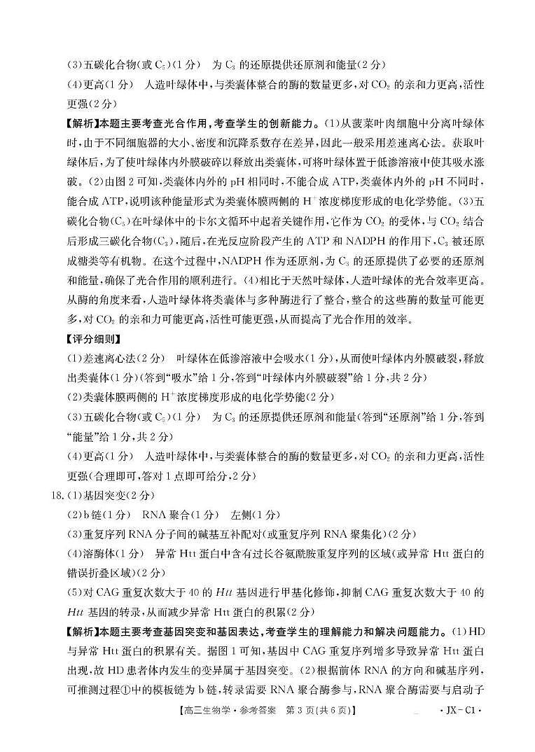 江西省2026届高三上学期11月联考（JX）生物答案第3页