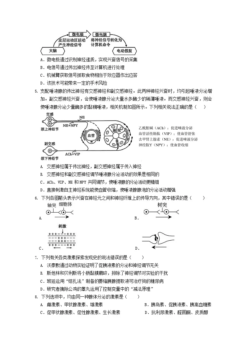 广东省实验中学2025-2026学年高二上学期11月期中考试生物试卷第2页
