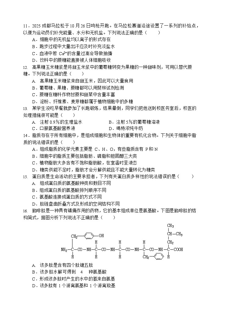 四川省遂宁市射洪中学2025-2026学年高一上学期12月考试生物试卷第3页