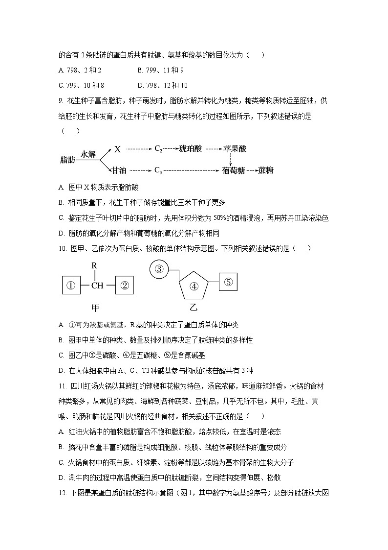 【生物】江苏省扬州大学附属中学2025-2026学年高一上学期11月期中（学生版）第2页