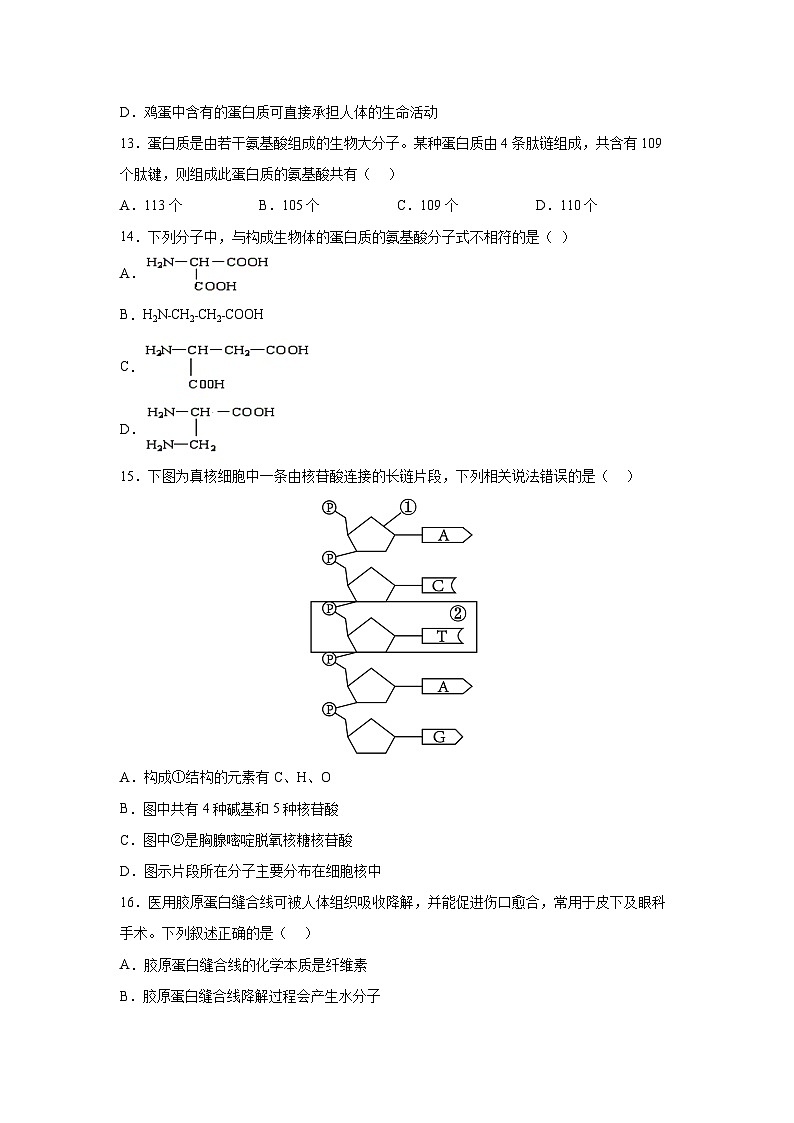 【生物】江苏省2025-2026学年高一上学期第三次月考（学生版）第3页