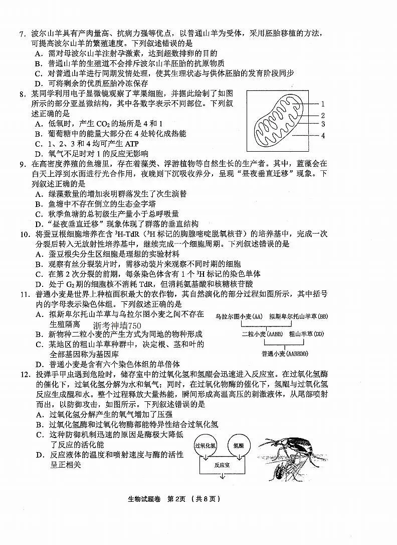 生物卷-2512金丽衢十二校第2页