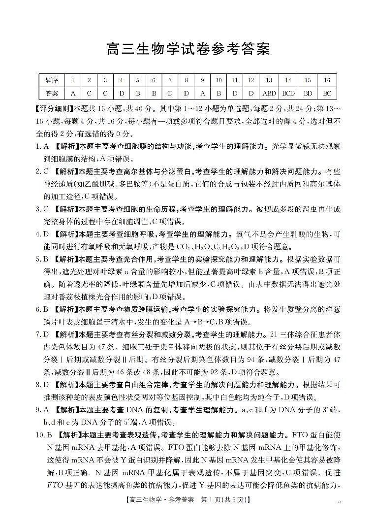 湖南省2026届高三上学期11月联考（26-87C）生物答案第1页