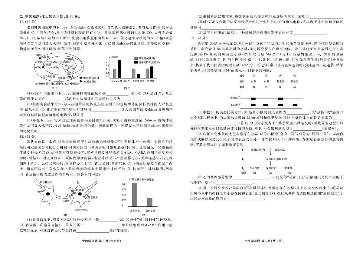 广东省衡水金卷2026届高三上学期11月联考生物试题（PDF版附解析）第3页