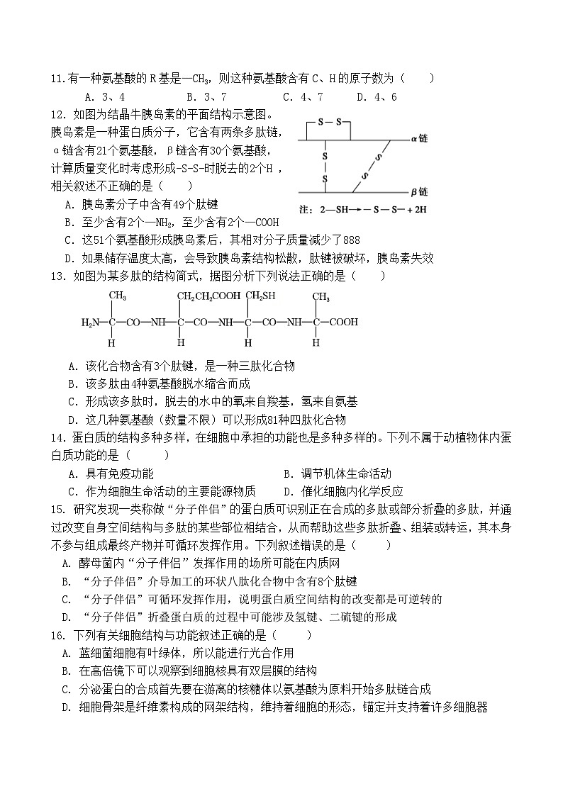 福建省厦泉五校2025-2026学年高一上学期期中联考生物试题（Word版附答案）第3页