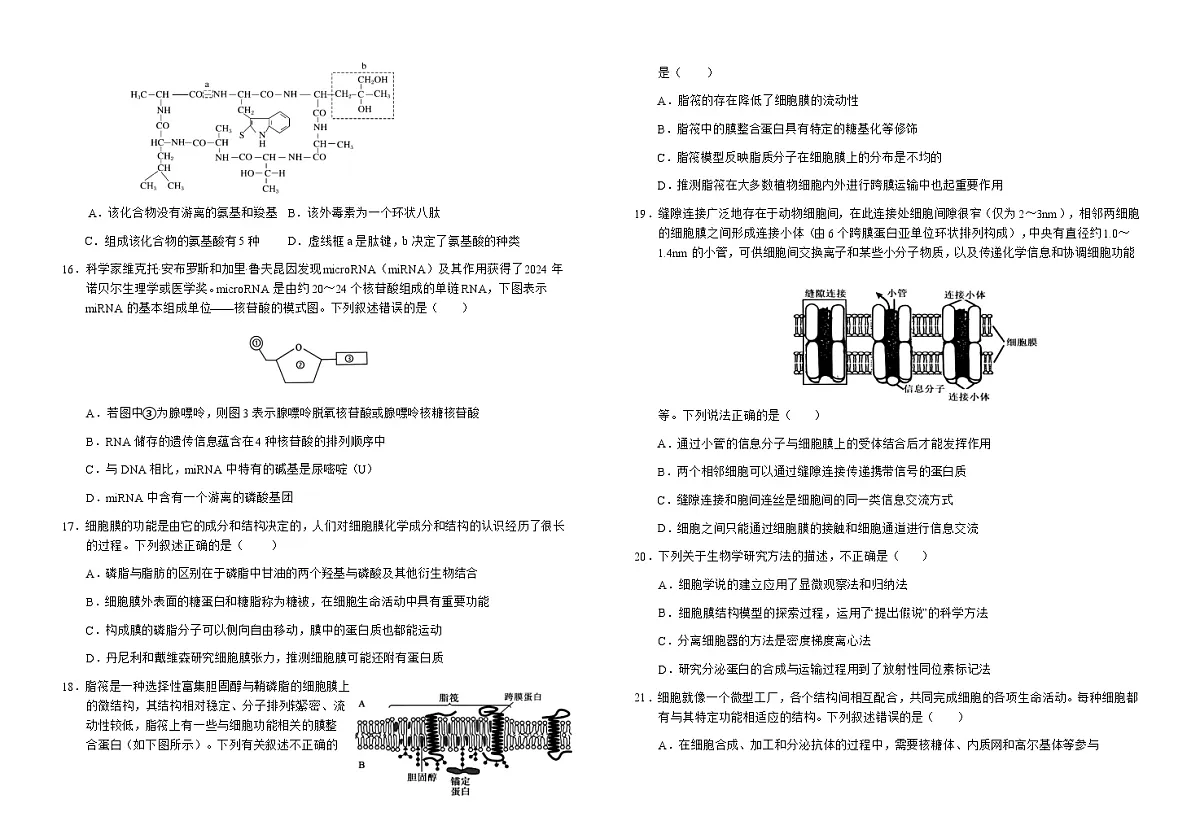 安徽省六安市第一中学2025-2026学年高一上学期11月期中生物试题 Word版含解析第3页