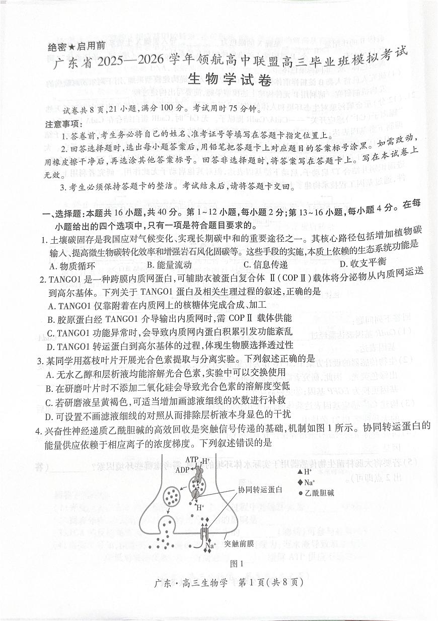 广东省领航高中联盟2025-2026学年高三上学期毕业班模拟考试生物学试卷（PDF版，无答案）第1页