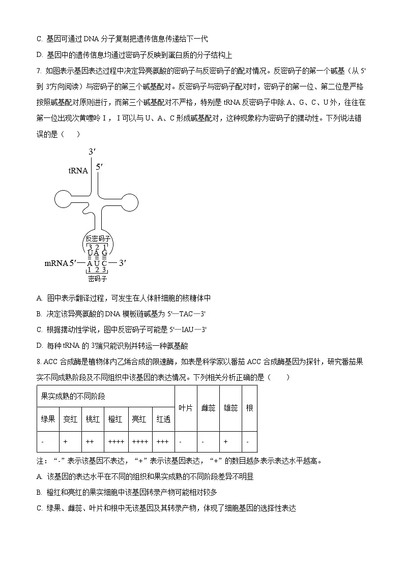 湖北省部分高中联考2025-2026学年高二上学期11月期中生物试题（原卷版）第3页
