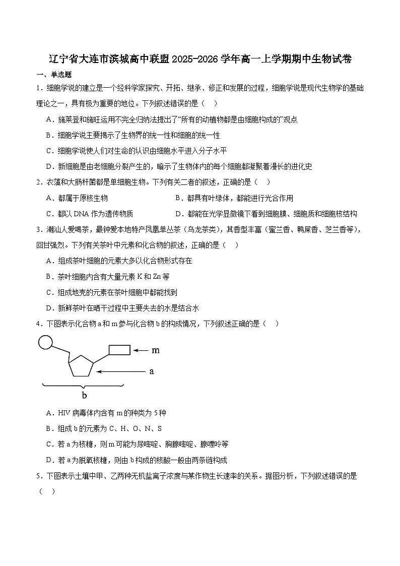 辽宁省大连市滨城高中联盟2025-2026学年高一上学期期中考试生物试卷（含答案）第1页
