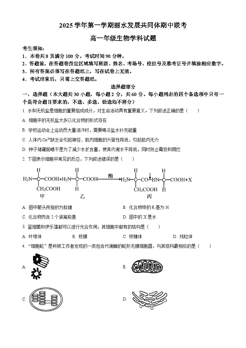 浙江省丽水发展共同体2025-2026学年高一上学期11月期中生物试题 Word版无答案第1页