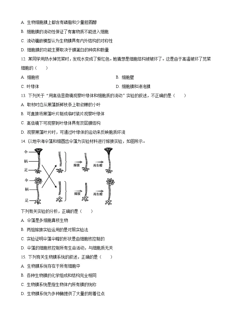 浙江省丽水发展共同体2025-2026学年高一上学期11月期中生物试题 Word版无答案第3页