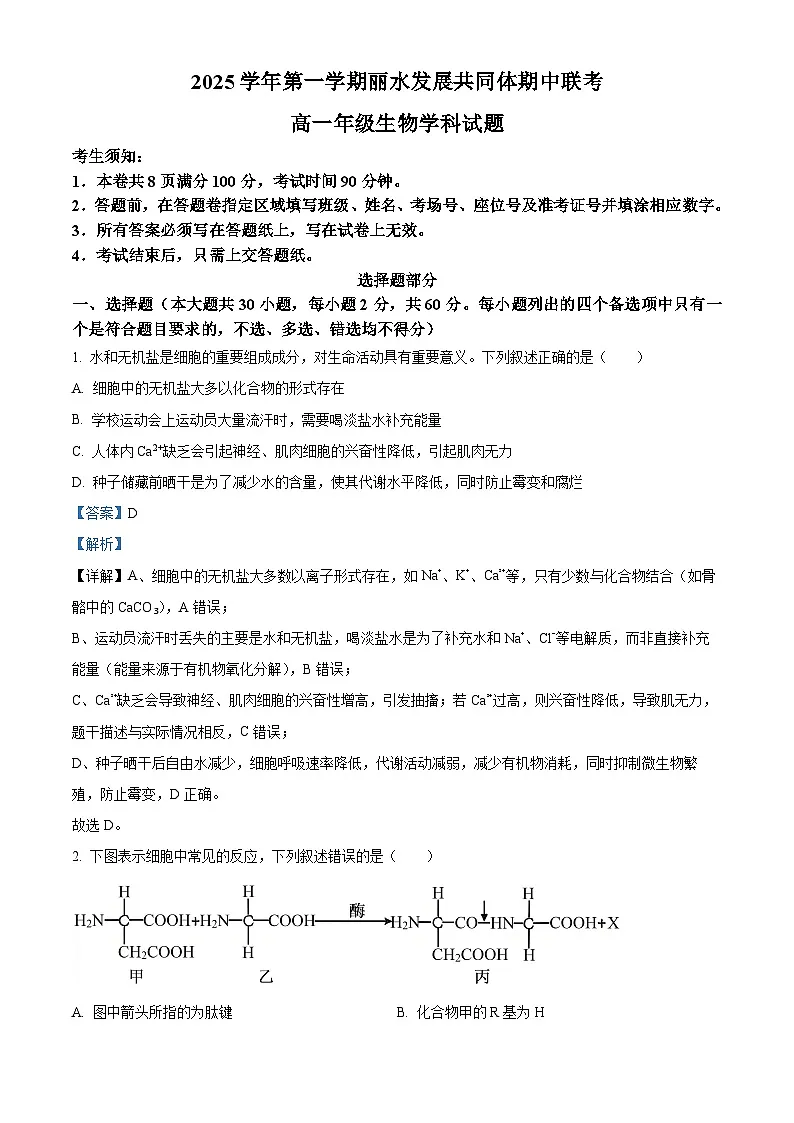 浙江省丽水发展共同体2025-2026学年高一上学期11月期中生物试题 Word版含解析第1页