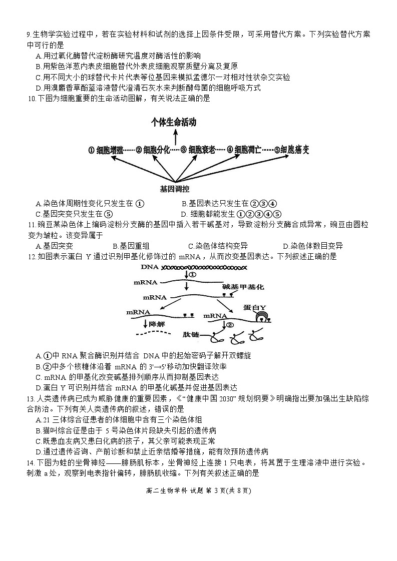 浙江省金砖联盟2025学年第一学期期中联考高二年级生物学科试题第3页
