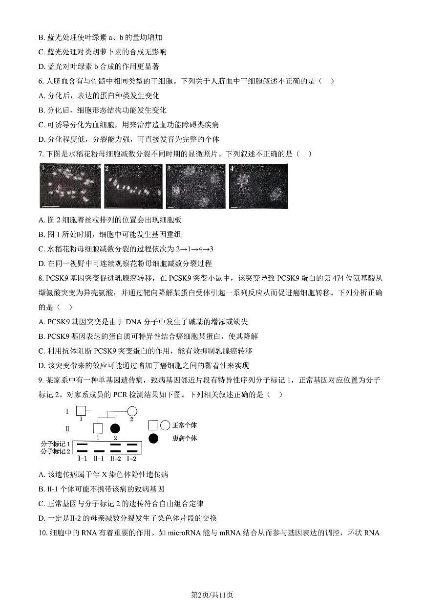 2025北京通州高三（上）期中生物试卷（教师版）第2页