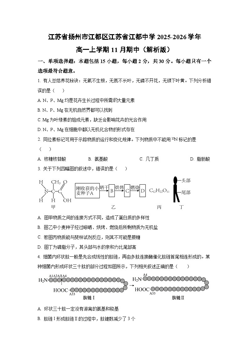 江苏省扬州市江都区江苏省江都中学2025-2026学年高一上学期11月期中生物试卷（学生版）第1页