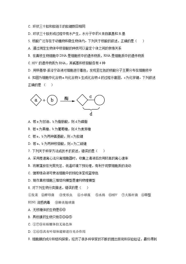 江苏省扬州市江都区江苏省江都中学2025-2026学年高一上学期11月期中生物试卷（学生版）第2页