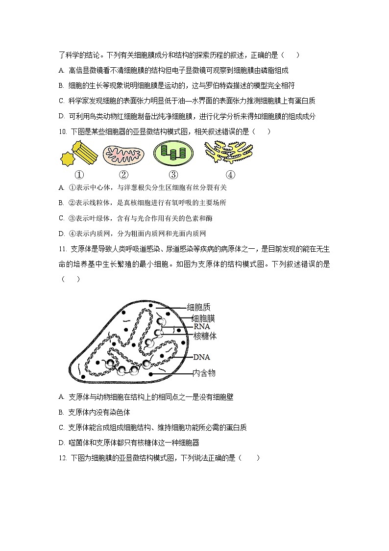 江苏省扬州市江都区江苏省江都中学2025-2026学年高一上学期11月期中生物试卷（学生版）第3页