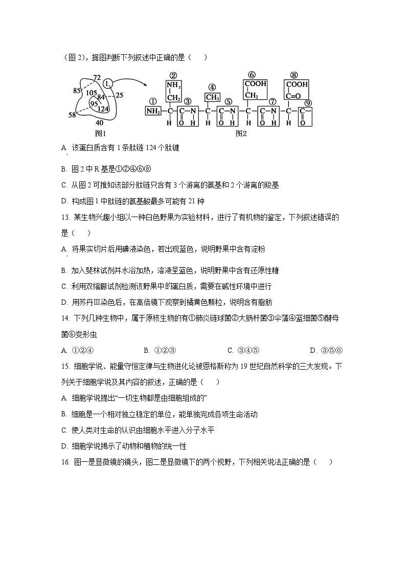 江苏省扬州大学附属中学2025-2026学年高一上学期11月期中生物试卷（学生版）第3页