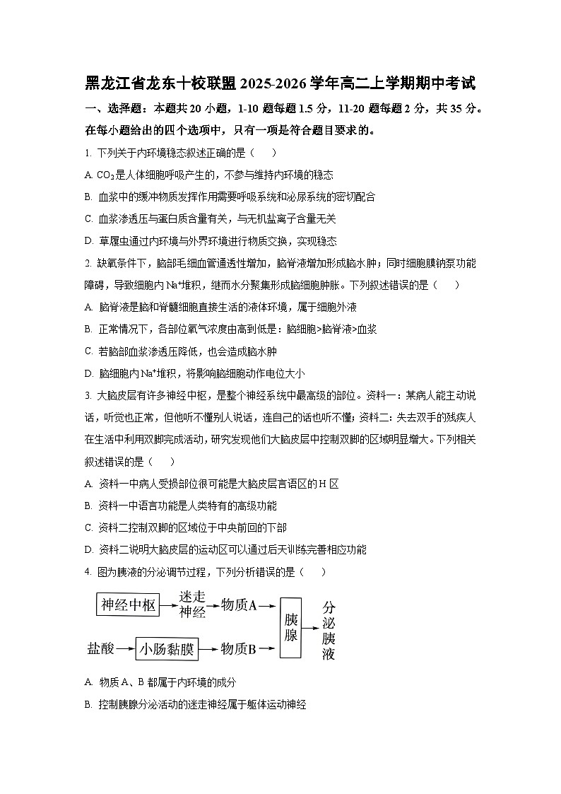 黑龙江省龙东十校联盟2025-2026学年高二上学期期中考试生物试卷（学生版）第1页