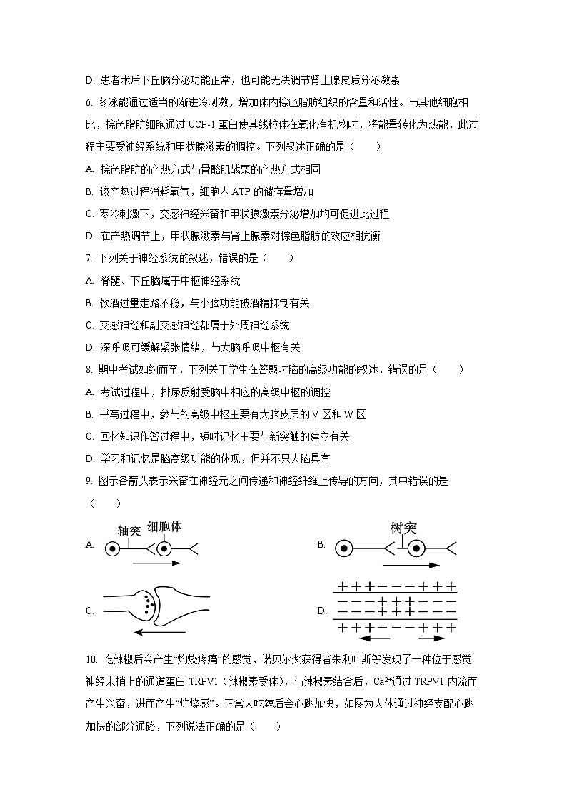 广东省四校2025-2026学年高二上学期11月期中联考生物试卷（学生版）第2页