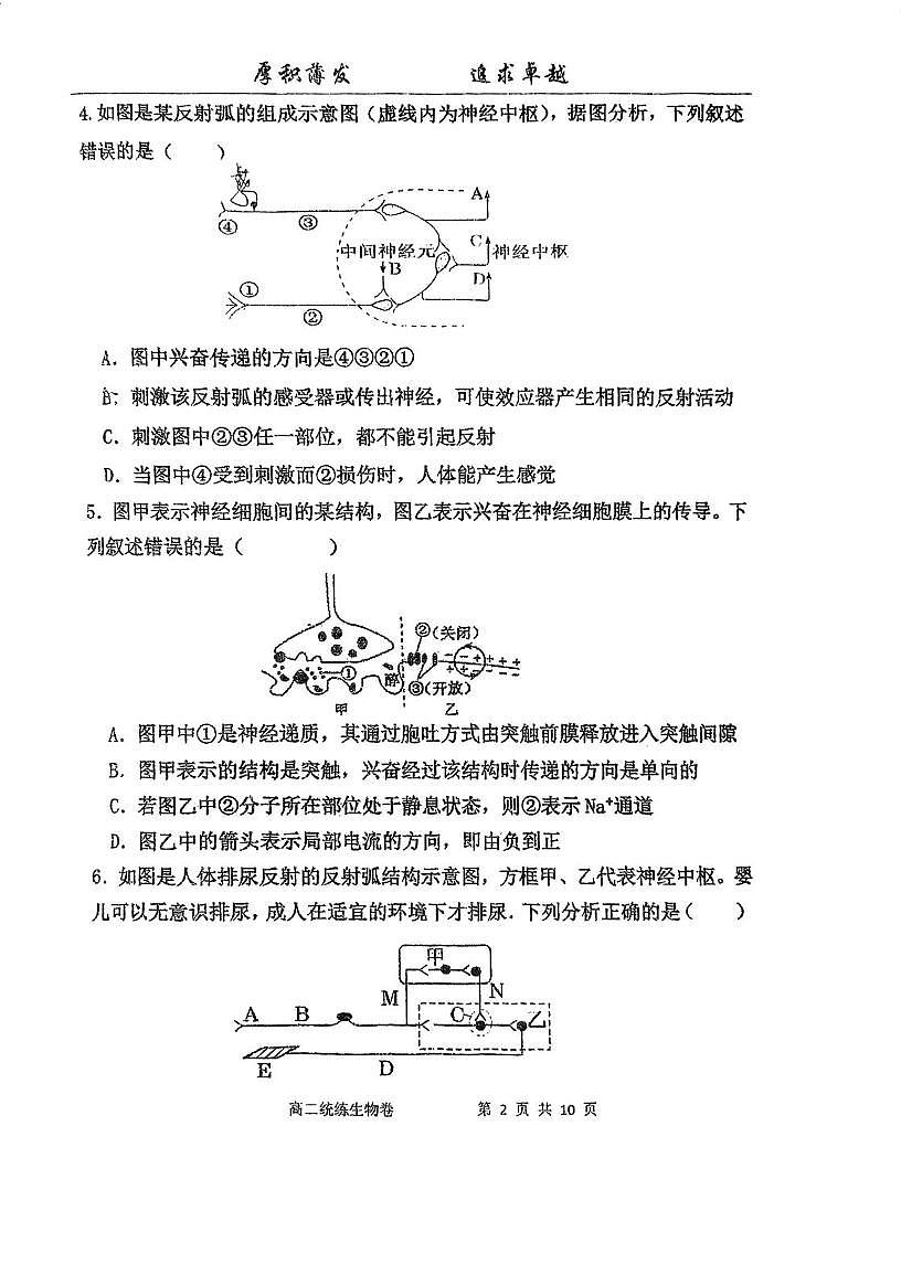 天津市宝坻区第一中学2025-2026学年高二上学期第一次月考生物试卷（月考）第2页