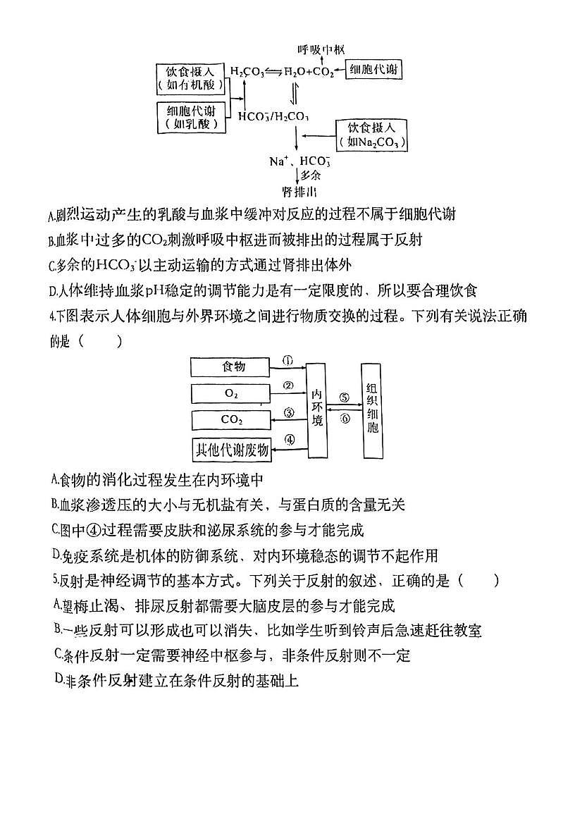 天津市北辰区九十六中学2025—2026学年高二上学期第一次月考生物试题（月考）第2页