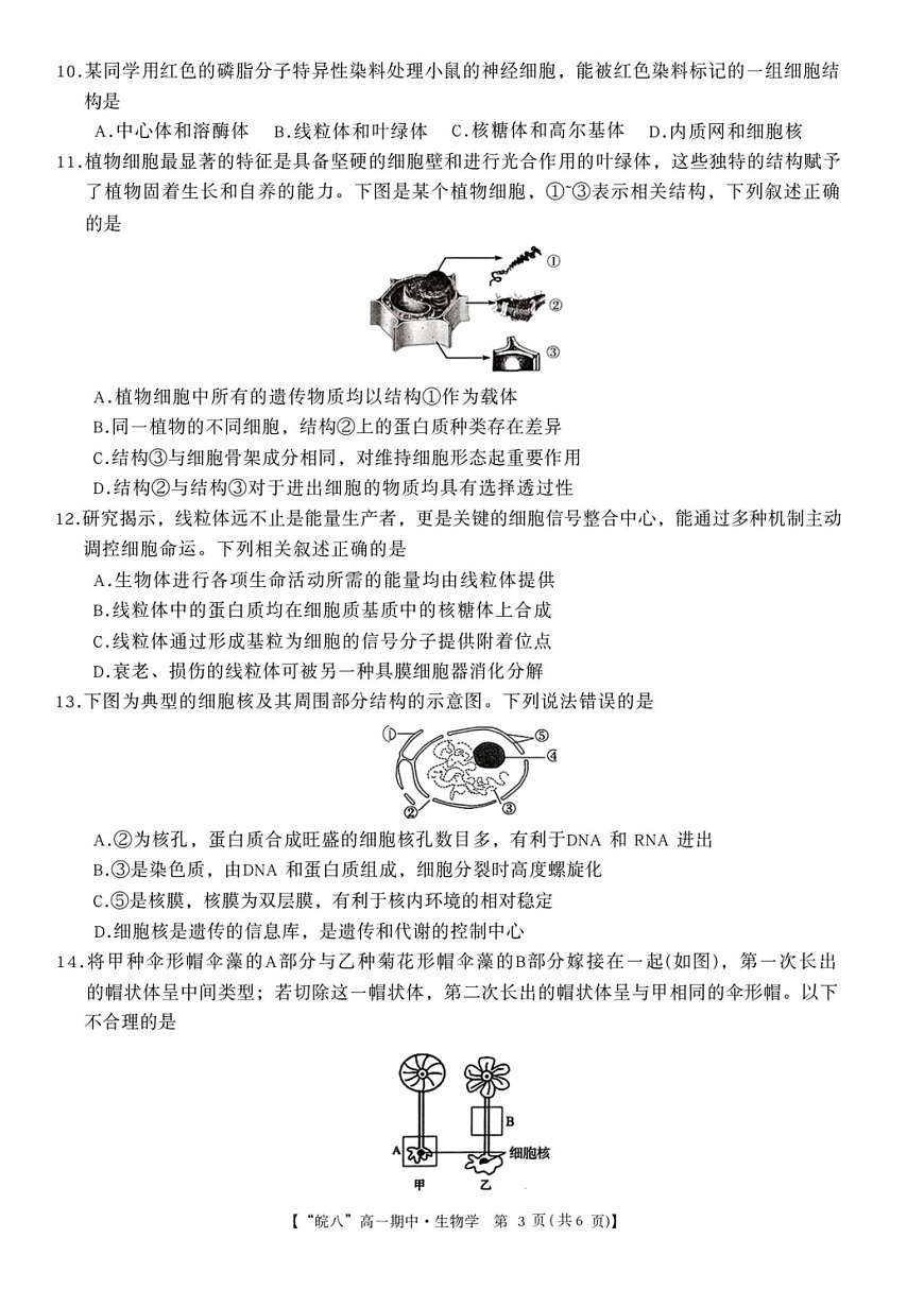 安徽省皖南八校2025-2026学年高一上学期11月期中考试生物试卷第3页