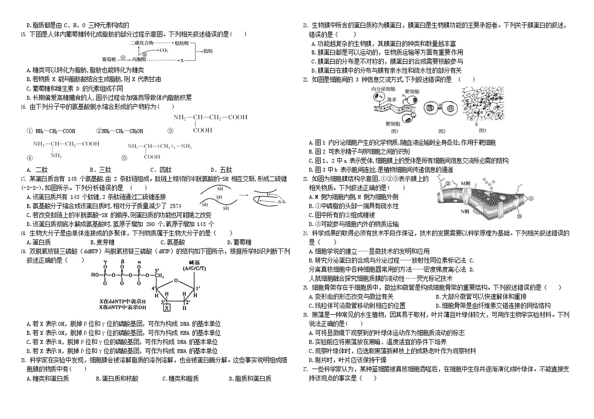 黑龙江省哈尔滨师范大学附属中学2025-2026学年高一上学期11月期中考试生物试卷第2页