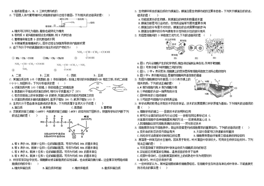 黑龙江省哈尔滨师范大学附属中学2025-2026学年高一上学期11月期中考试生物试卷第2页