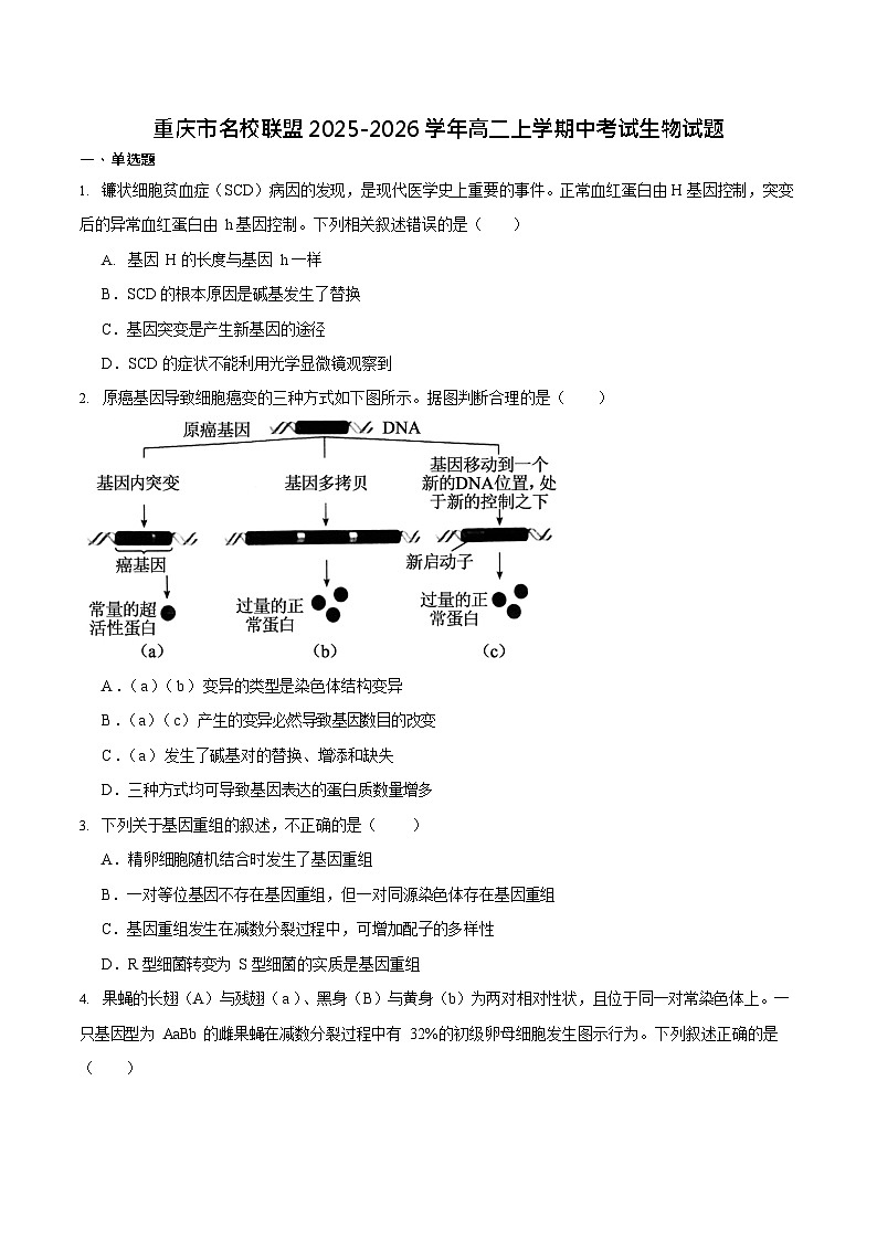 重庆市名校联盟2025-2026学年高二上学期11月期中考试生物试卷第1页