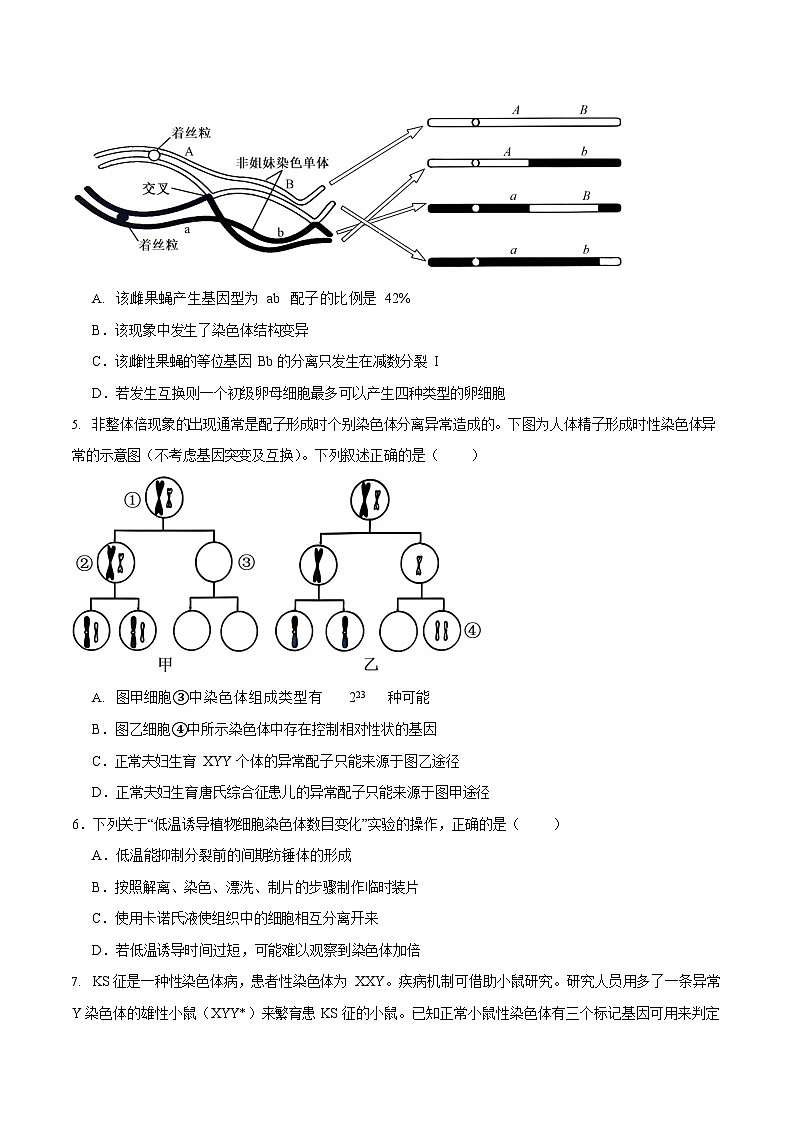 重庆市名校联盟2025-2026学年高二上学期11月期中考试生物试卷第2页
