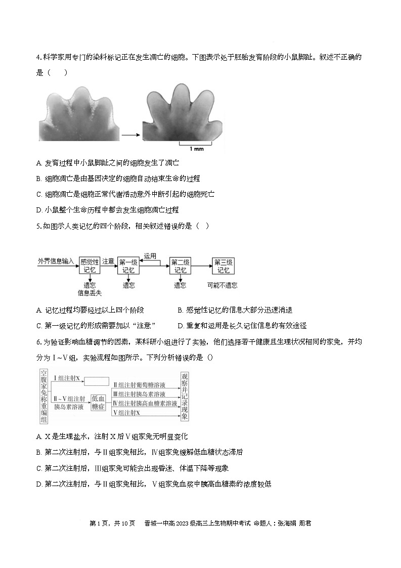 山西省晋城市第一中学校2025—2026学年高三上学期期中考试生物试题第2页