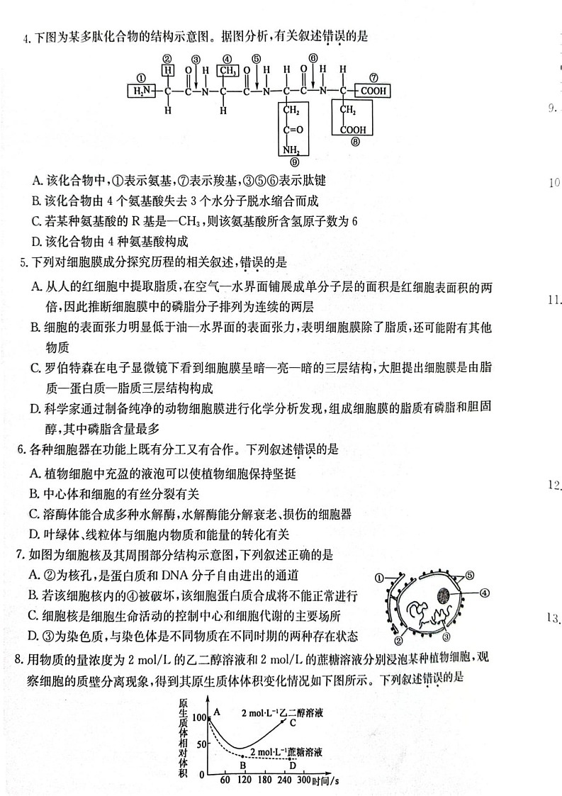 甘肃省酒泉市2024-2025学年高一上学期期末考试生物试题第2页