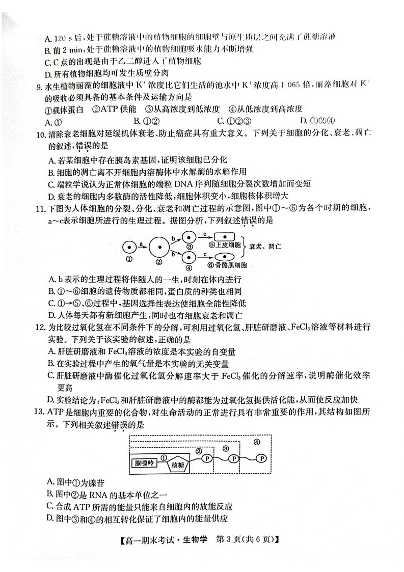 甘肃省酒泉市2024-2025学年高一上学期期末考试生物试题第3页