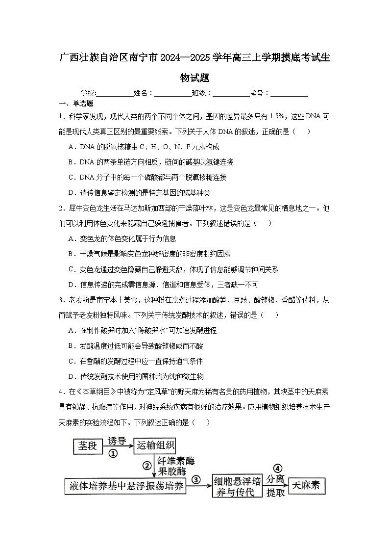 广西壮族自治区南宁市2024—2025学年高三上学期摸底考试生物试题第1页