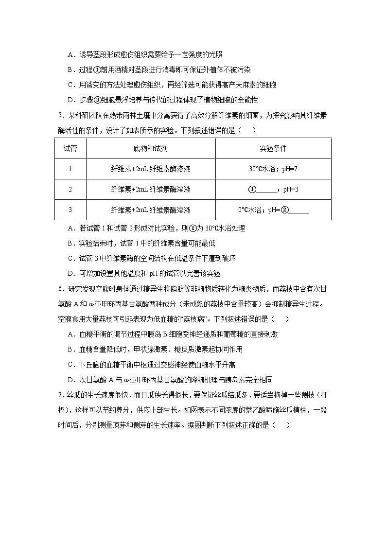 广西壮族自治区南宁市2024—2025学年高三上学期摸底考试生物试题第2页
