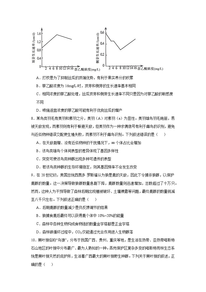广西壮族自治区南宁市2024—2025学年高三上学期摸底考试生物试题第3页