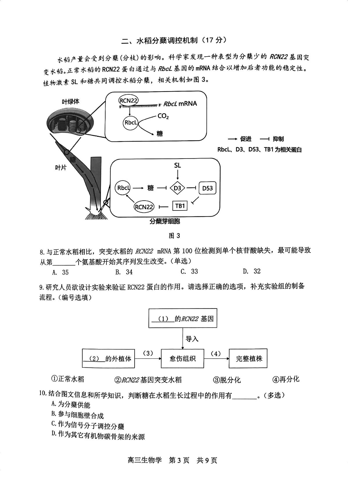 上海市松江区一模2025-2026学年第一学期期末质量监控 高三生物试题+答案第3页